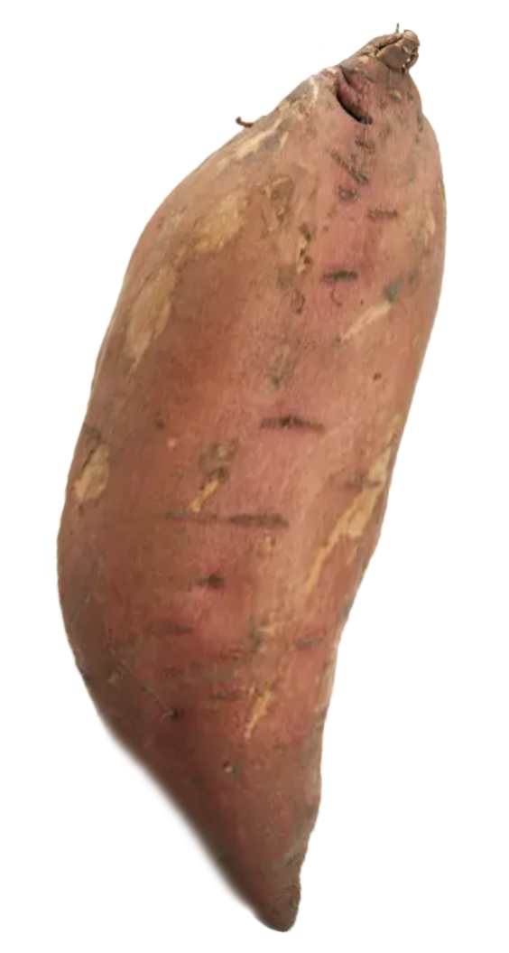 sweet potato